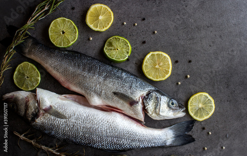 Fresh trout fish on a table with lemons and rosemary. Dark grey textured background with copy space. Balanced diet concept. 