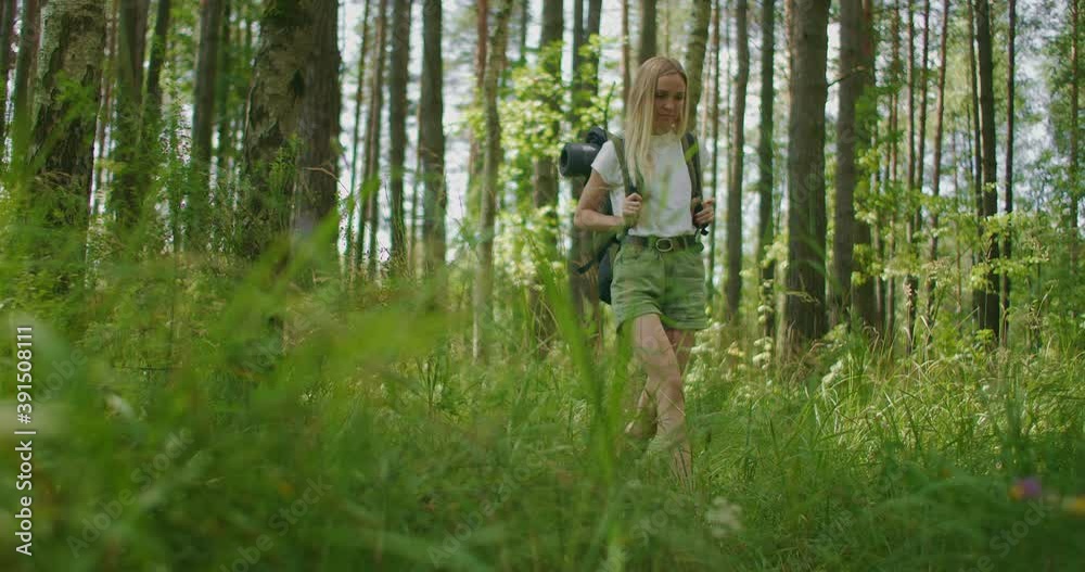 A woman walks through the woods on a sunny summer day in shorts and a T-shirt smiling and examining the beauty of nature and the forest A woman walks through the woods on a sunny summer day in shorts and a T-shirt smiling and examining the beauty of nature and the forest