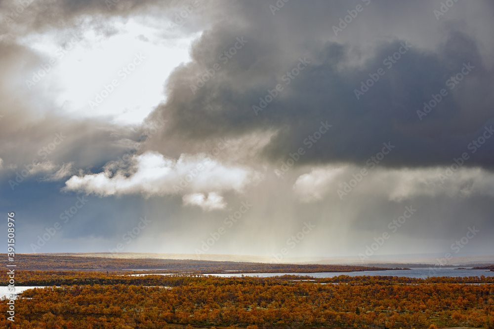 Streams of rain from the clouds over the tundra in autumn. Streams of rain from the clouds over the tundra in autumn.
