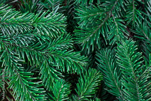 Fir-tree branches. Winter natural background.