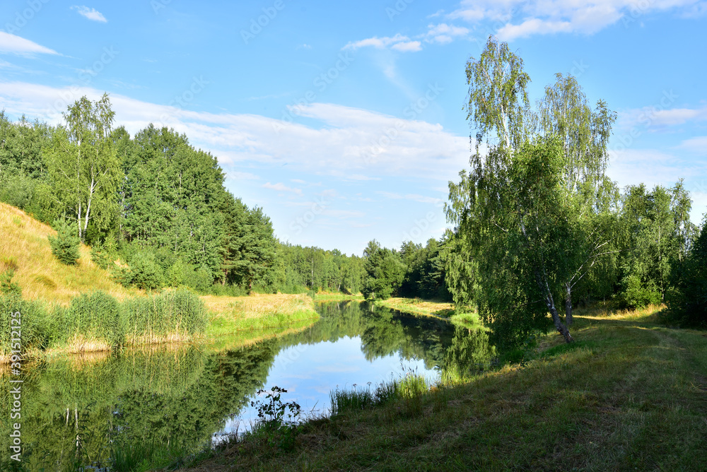 Small river in a forest with green swamp water in summer season. Wetlands declining and under threat.The problem of ecology and drainage of rivers and swamps