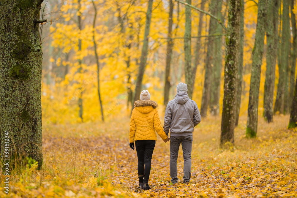Young adult couple walking together on yellow fallen leaves in forest. Golden autumn day. Romantic lovely moment. Peaceful atmosphere. Dating concept. Back view.