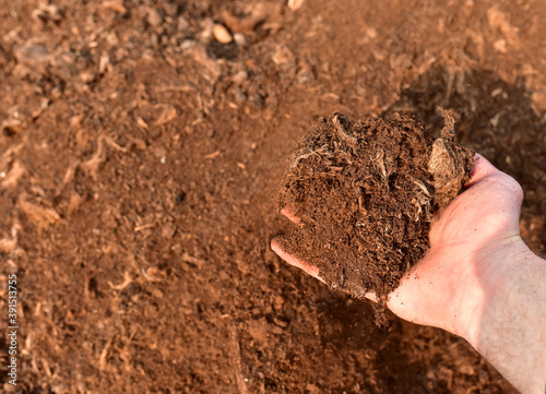 Peat Moss background. Peat moss industry harvests and ships millions of kilograms to countries around the world. Peatlands at extraction site