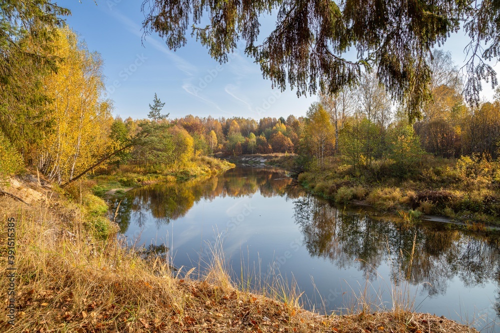 view of a calm river, autumn, Sunny day. In the foreground are beautiful twigs and leaves. Reflection