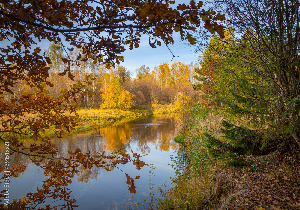 Fototapeta premium view of a calm river, autumn, Sunny day. In the foreground are beautiful twigs and leaves. Reflection