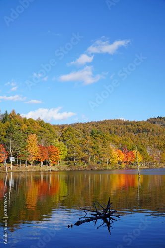秋の女神湖
