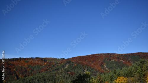 Herbstliche Stimmung auf Hügeln mit buntem Wald und blauem Himmel in Österreich, Niederösterreich für Urlaub und Tourismus 