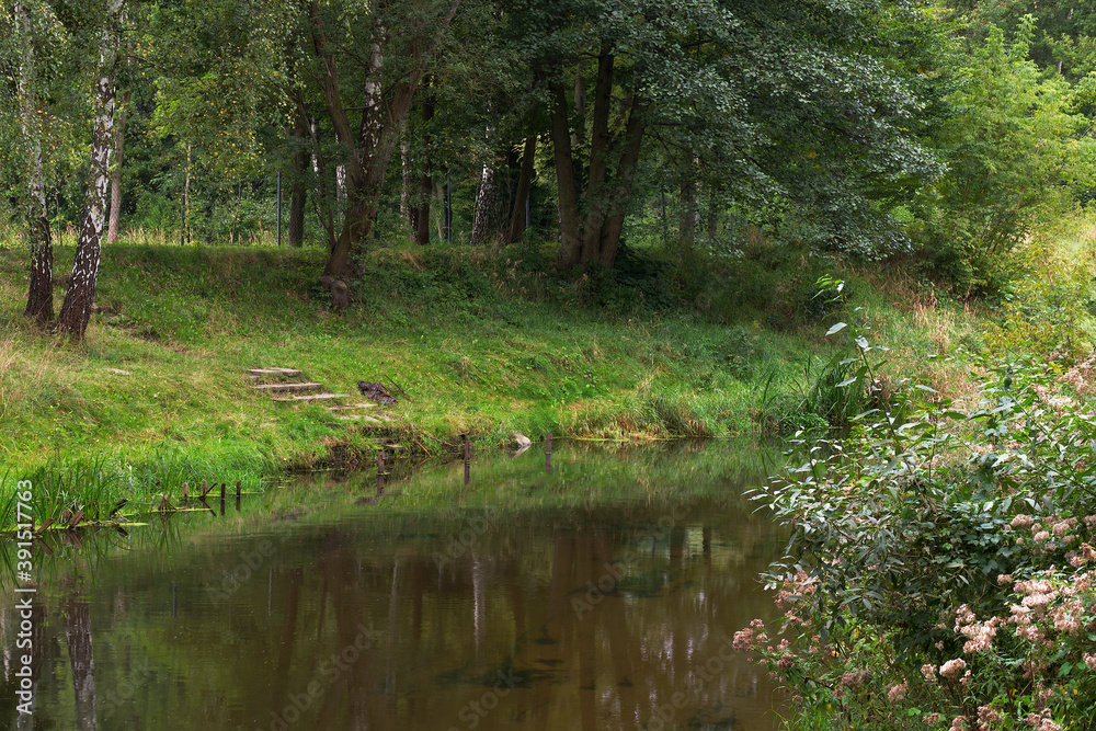 Green landscape photo from a bank of a Przemsza River. Green landscape photo from a bank of a Przemsza River.