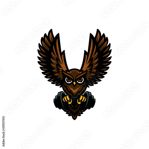 Owl lifting barbell logo. sports mascot logo photo