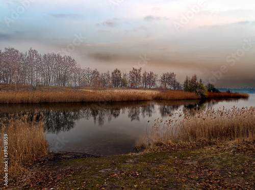 Picture of Headland on Pogoria III Lake in Dabrowa Gornicza, Poland.