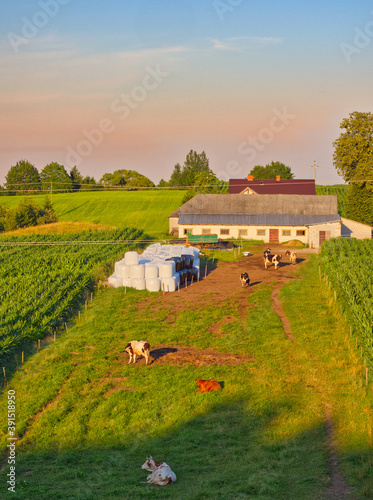 A vertical landscape with farm in first plan at setting sun time. photo