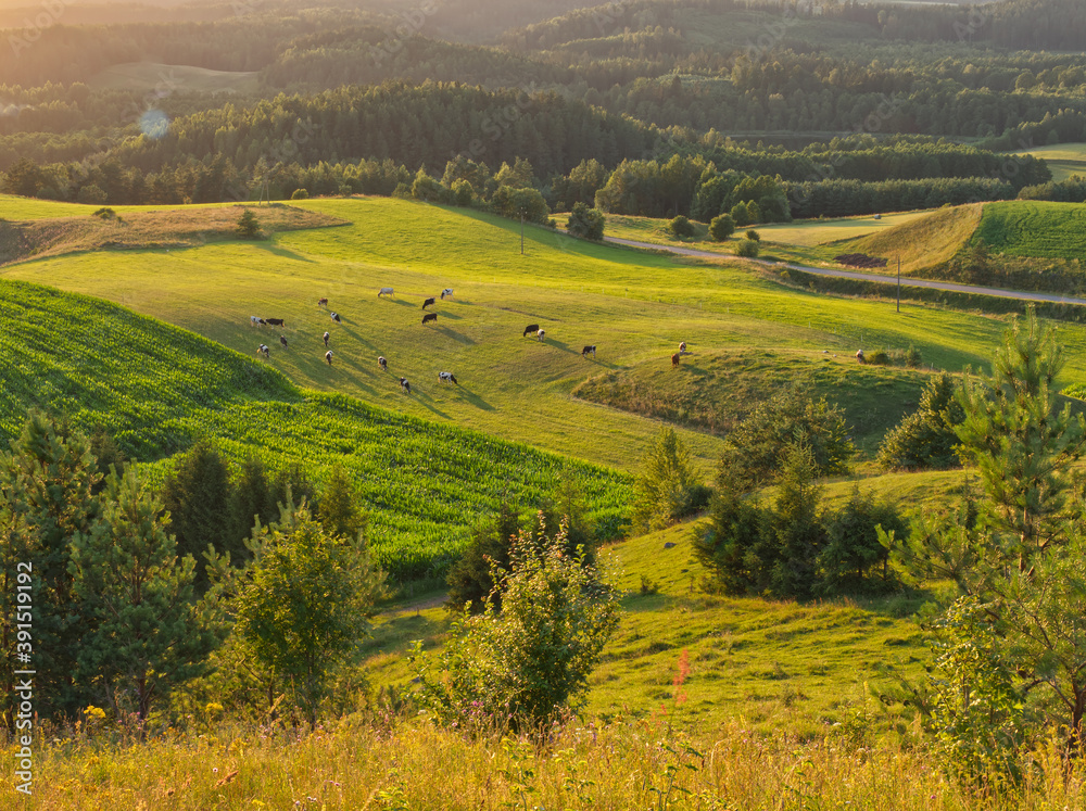 Landscape of full of beautiful hills Suwalszczyzna region in Poland.