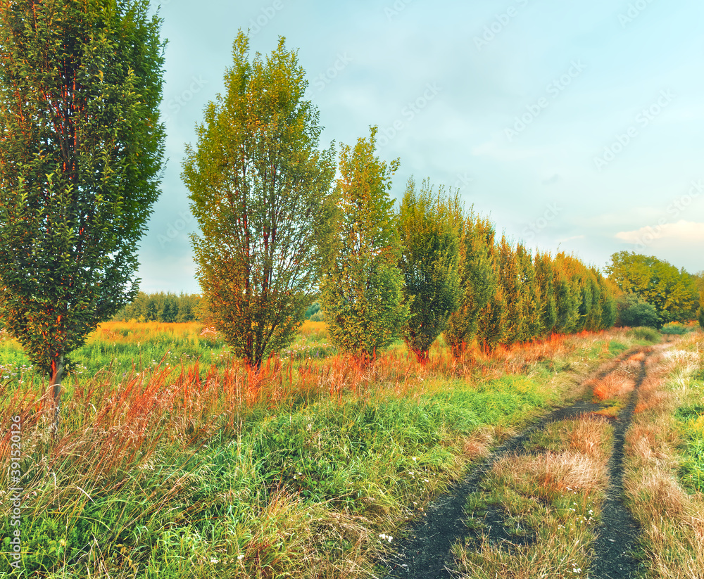 Landscape of Bloodsucking Meadows in Dabrowa Gornicza. Landscape of Bloodsucking Meadows in Dabrowa Gornicza.