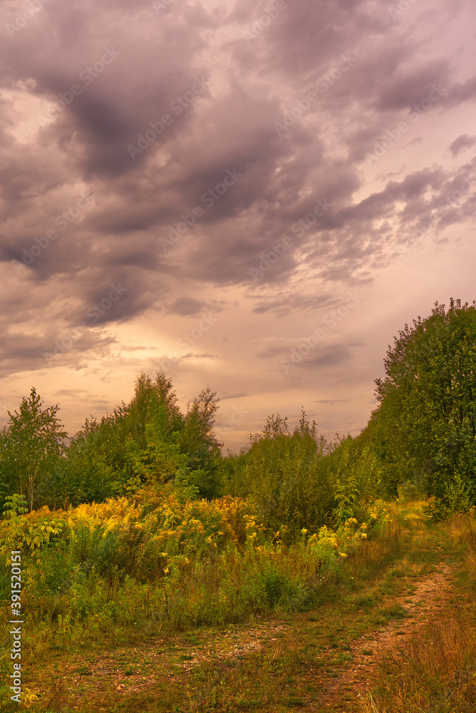 Landscape of Bloodsucking Meadows in Dabrowa Gornicza.