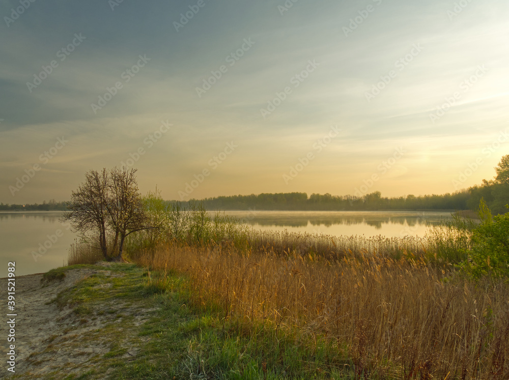 Landscape photo with a lone tree at the Pogoria III Lake. Landscape photo with a lone tree at the Pogoria III Lake.
