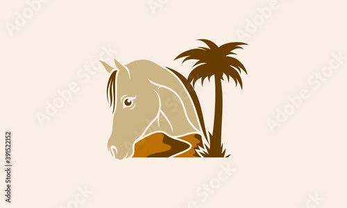Desert Horse Logo Illustration