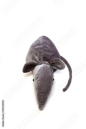 Soft toy of gray rat on white background. View from above