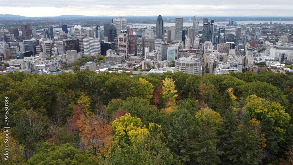 Obraz premium montreal-downtown