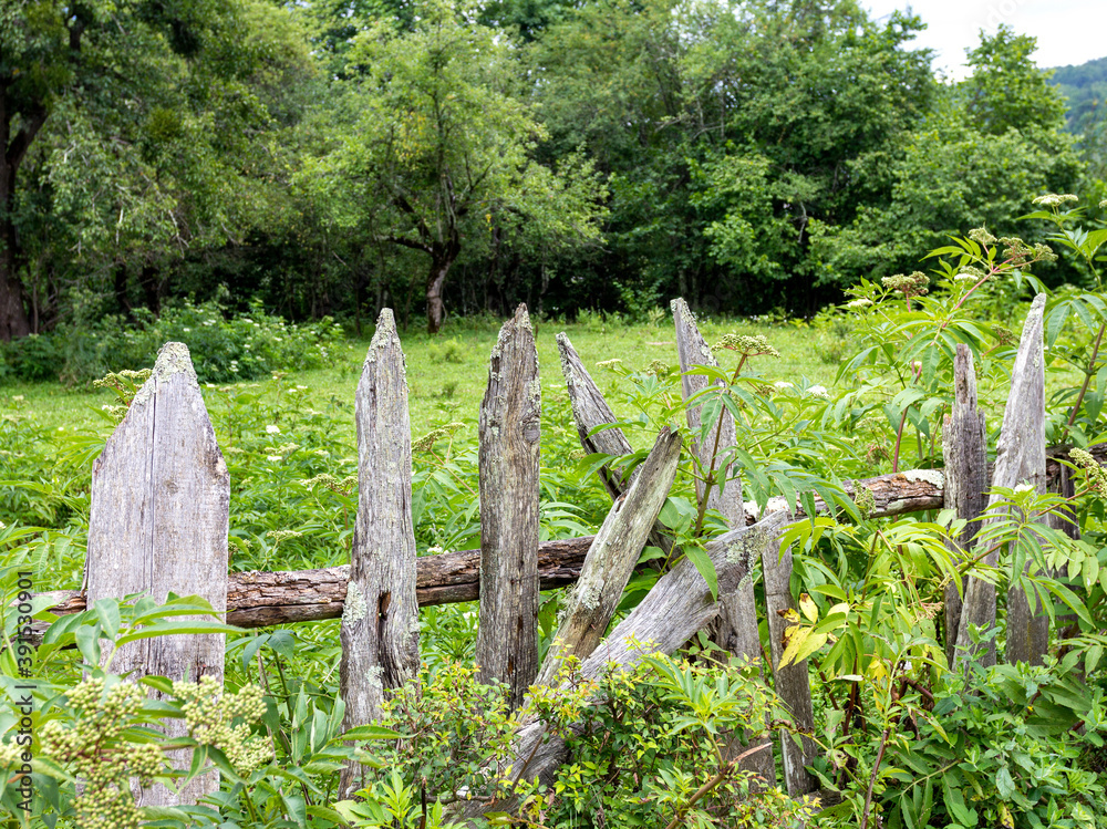 Elements of an old fence on an empty ranch on a summer day, overgrown with grass. Elements of an old fence on an empty ranch on a summer day, overgrown with grass.