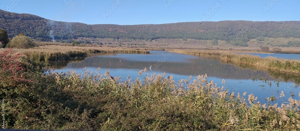 View of Lake Vico in Autumn 2020 ,the swamp in Lake Vico Natural Reserve,Italy.Photography from bird watching tower.Surrounded by a stunning landscape with green woods in over look .