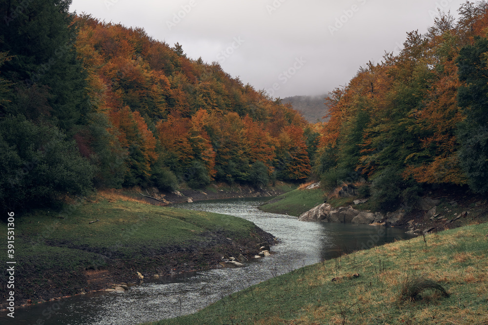 River that surrounds the forest in the autumn season. Irati forest in autumn River that surrounds the forest in the autumn season. Irati forest in autumn
