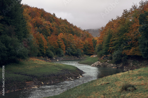 River that surrounds the forest in the autumn season. Irati forest in autumn