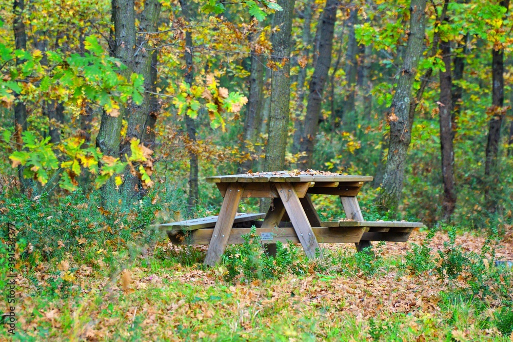 wooden bench in the park in Sapanca, Turkey. wooden bench in the park in Sapanca, Turkey.