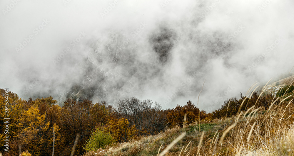 Foggy landscape at autumn day