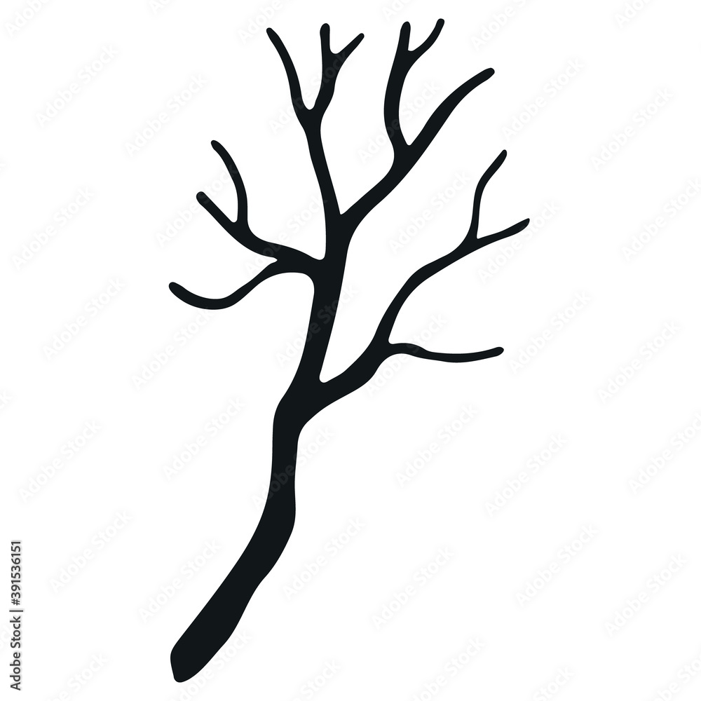 Hand drawn branch without leaves isolated on white Hand drawn branch without leaves isolated on white