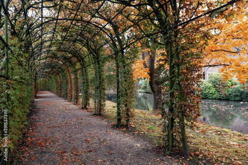 The beautiful tree tunnel in the garden of the Castle Arcen
