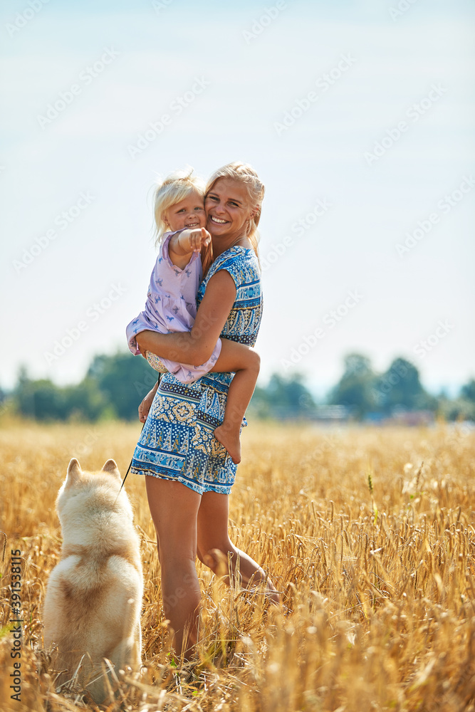 Obraz premium Cute baby girl with mom and dog on wheat field. Happy young family enjoy time together at the nature. Mom, little baby girl and dog husky resting outdoors. togetherness, love, happiness concept.