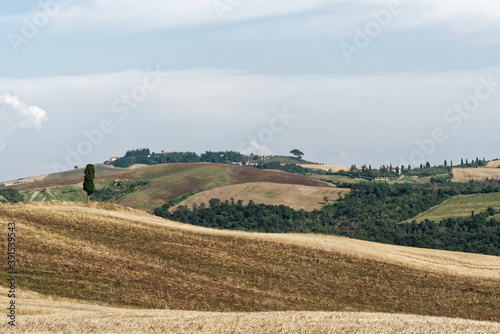 Italien - Toskana - Provinz Siena photo