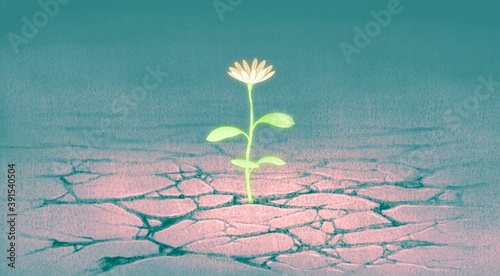 Concept of life faith hope nature and dream, flower growing on dry cracked soil, imagination painting, surreal artwork, illustration, conceptual art