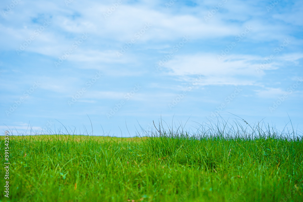 Obraz premium Beautiful landscape of Green field and white clouds copy space for text or design