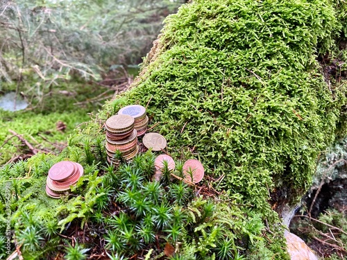 Ohne Moos - nichts los... 