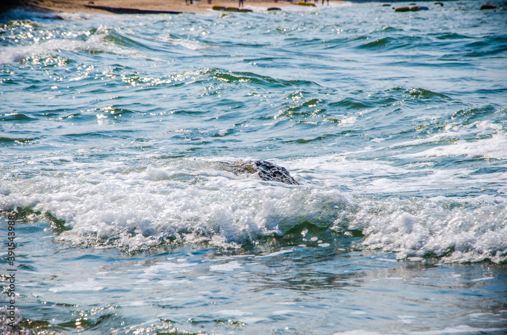 Fototapeta premium Ocean waves breaking on the rocks on the shore.