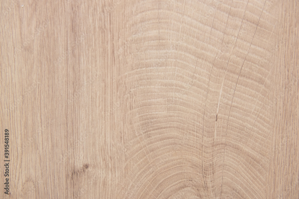 texture of old wood. wooden background close up texture of old wood. wooden background close up