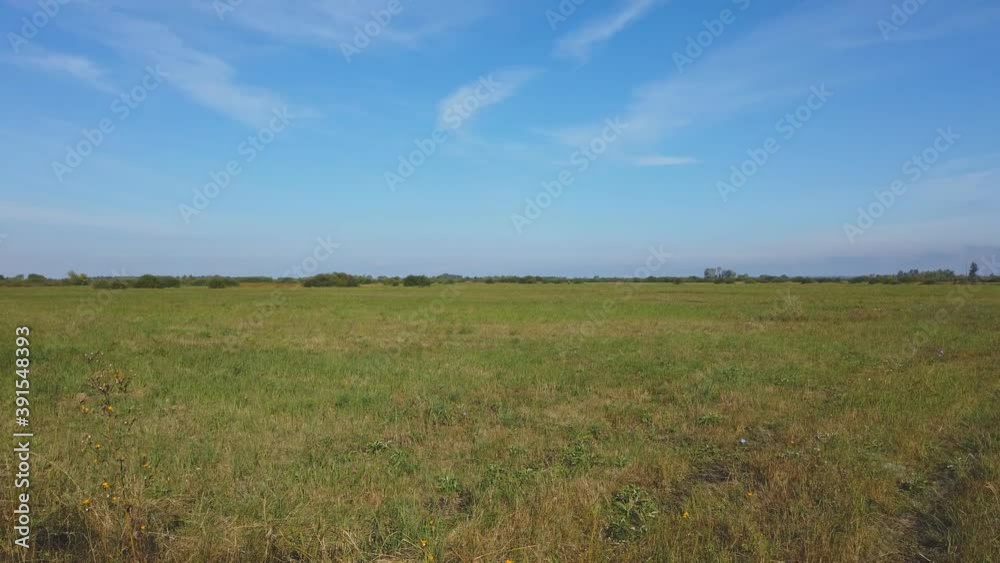 Panorama of a large meadow with low grass against a blue sky on a Sunny day