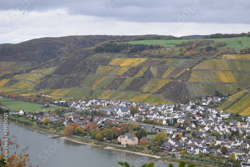 Rheintal zwischen Andernach und Leutesdorf photo