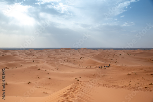 Sahara Desert in Marrakech  Morocco