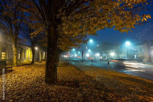 Foggy Autumn Morning in Princeton New Jersey