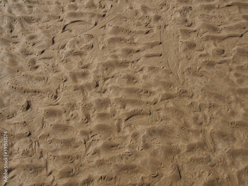 wet rippled sand on a beach at low tide with the imprints of bird tracks forming a pattern on the surface