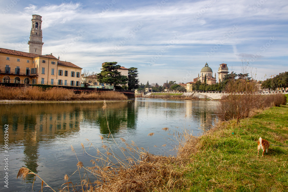 Embankment of river Adige  and  red dog running on grass  - awe architecture and nature of Verona town