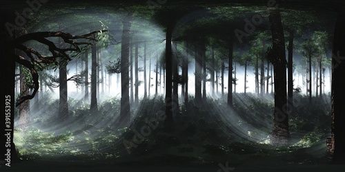 Fototapeta Naklejka Na Ścianę i Meble -  Trees in the fog. Environment map. HDRI map. equidistant projection. Spherical panorama. landscape
