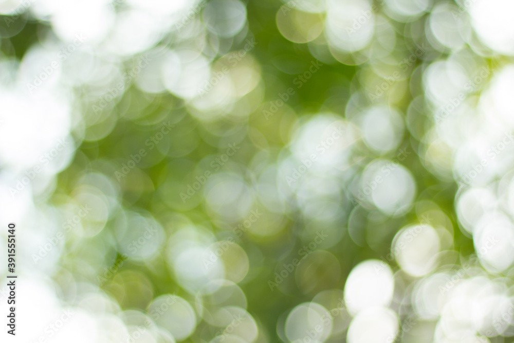 abstract green bokeh background abstract green bokeh background