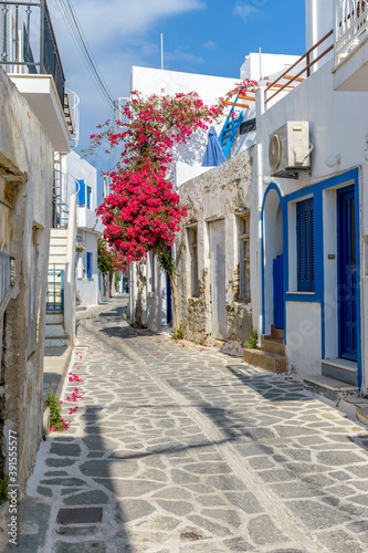 Fototapeta Naklejka Na Ścianę i Meble -  Traditional Cycladitic alley with a narrow street, whitewashed houses and a blooming bougainvillea in parikia, Paros island, Greece.