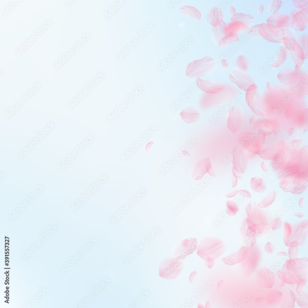 Sakura petals falling down. Romantic pink flowers Sakura petals falling down. Romantic pink flowers