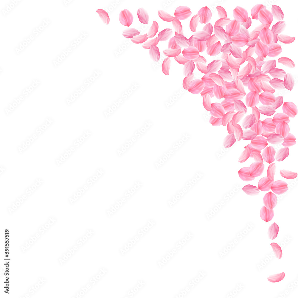 Sakura petals falling down. Romantic pink bright m Sakura petals falling down. Romantic pink bright m