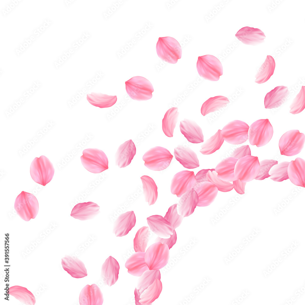 Sakura petals falling down. Romantic pink bright b Sakura petals falling down. Romantic pink bright b