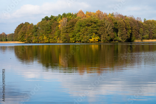 autumn trees reflected in lake